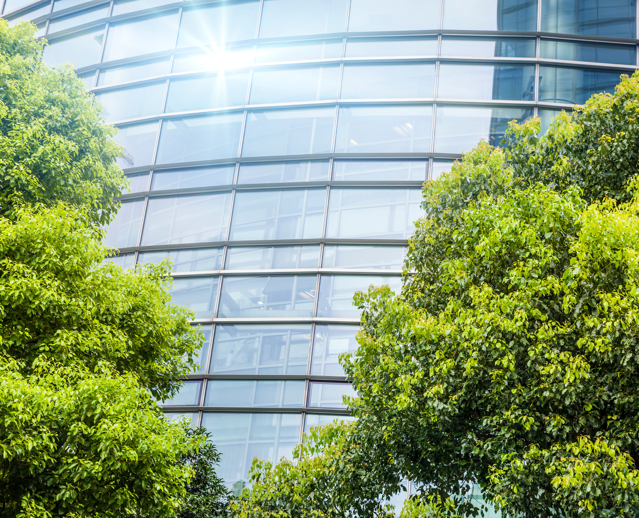 Employee Spotlight: Callum Fairbairn