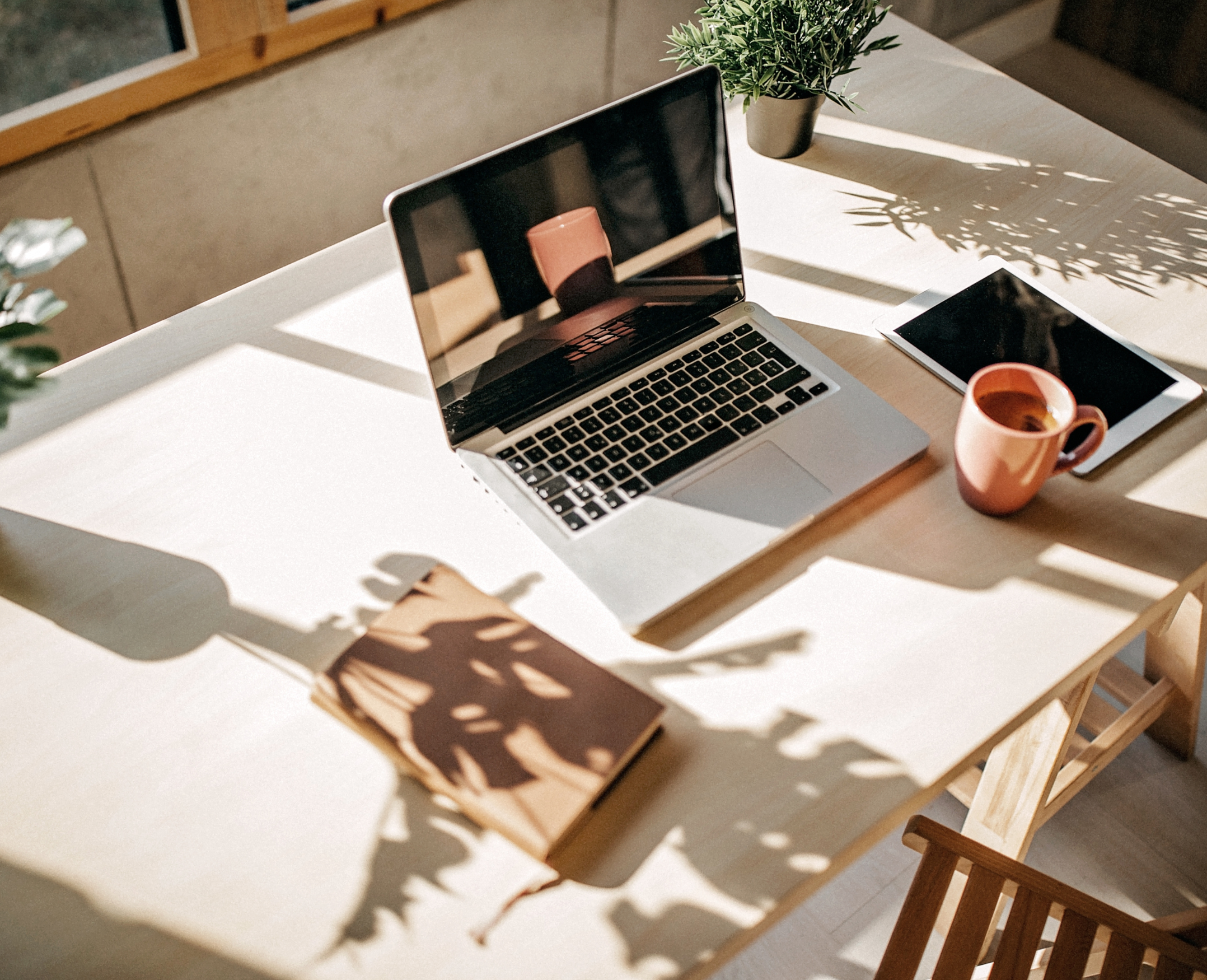 Employee Spotlight: Olivia Warwood-Hart